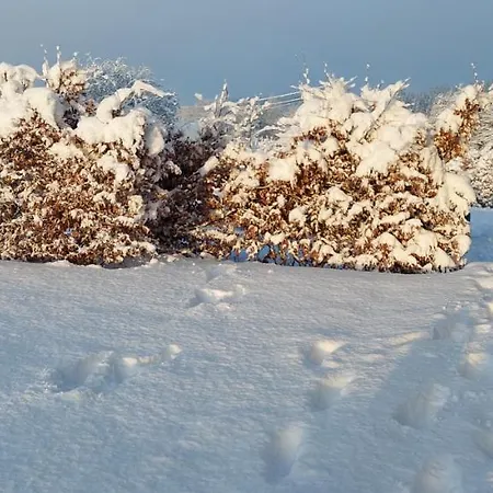 Bed & Breakfast La D'en La Reid